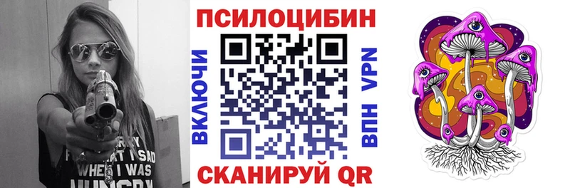 OMG tor  Нижний Новгород  Галлюциногенные грибы Magic Shrooms  где найти  
